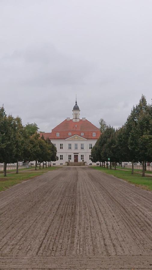 Fewo In Neustadt/Dosse, Der Stadt Der Pferde Leddin Ngoại thất bức ảnh